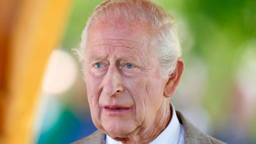 How much did King Charles III and the Royal Family spend on Palace repairs? How much did King Charles III and the Royal Family spend on Palace repairs