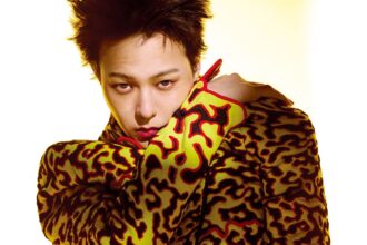 How much does a malicious comment about G-Dragon cost? How much does a malicious comment about G-Dragon cost