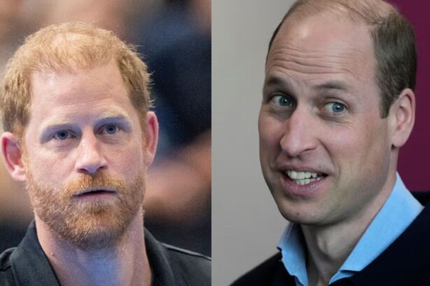 Prince Harry won’t let william ruin his reconciliation effort with the Crown