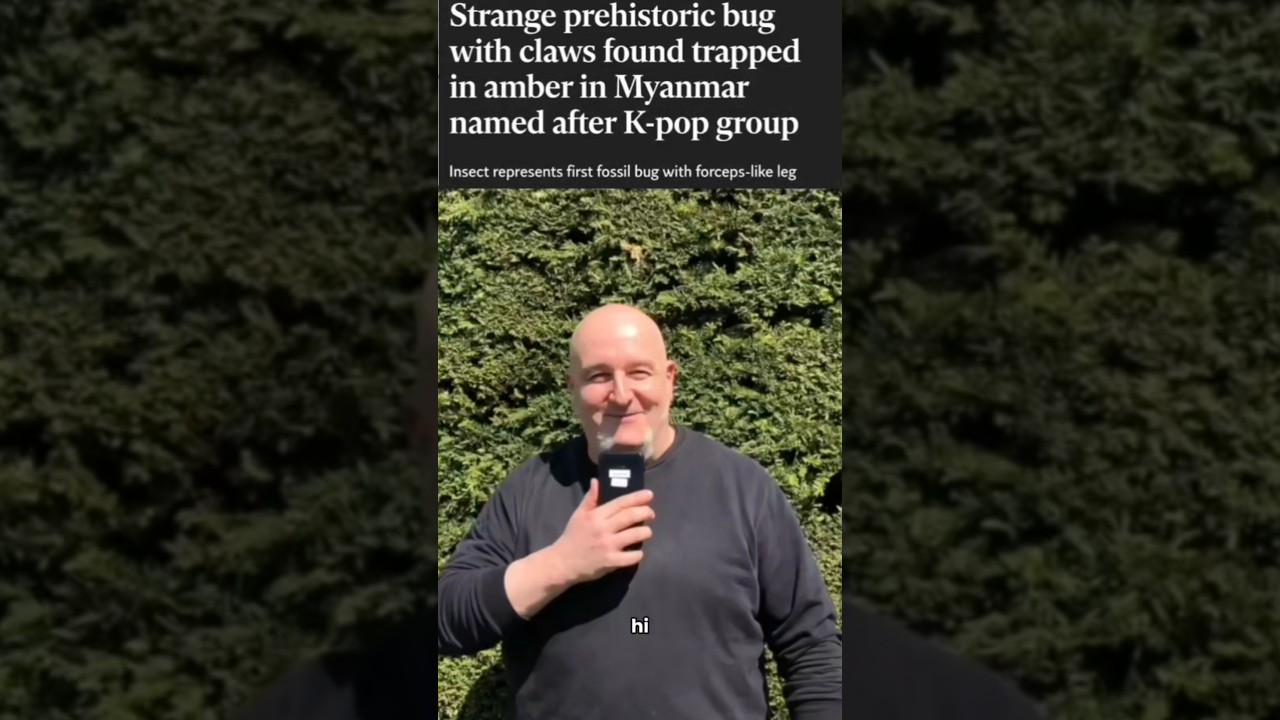 Stray Kids bug!‎⁨ @palaeo-evo-devo