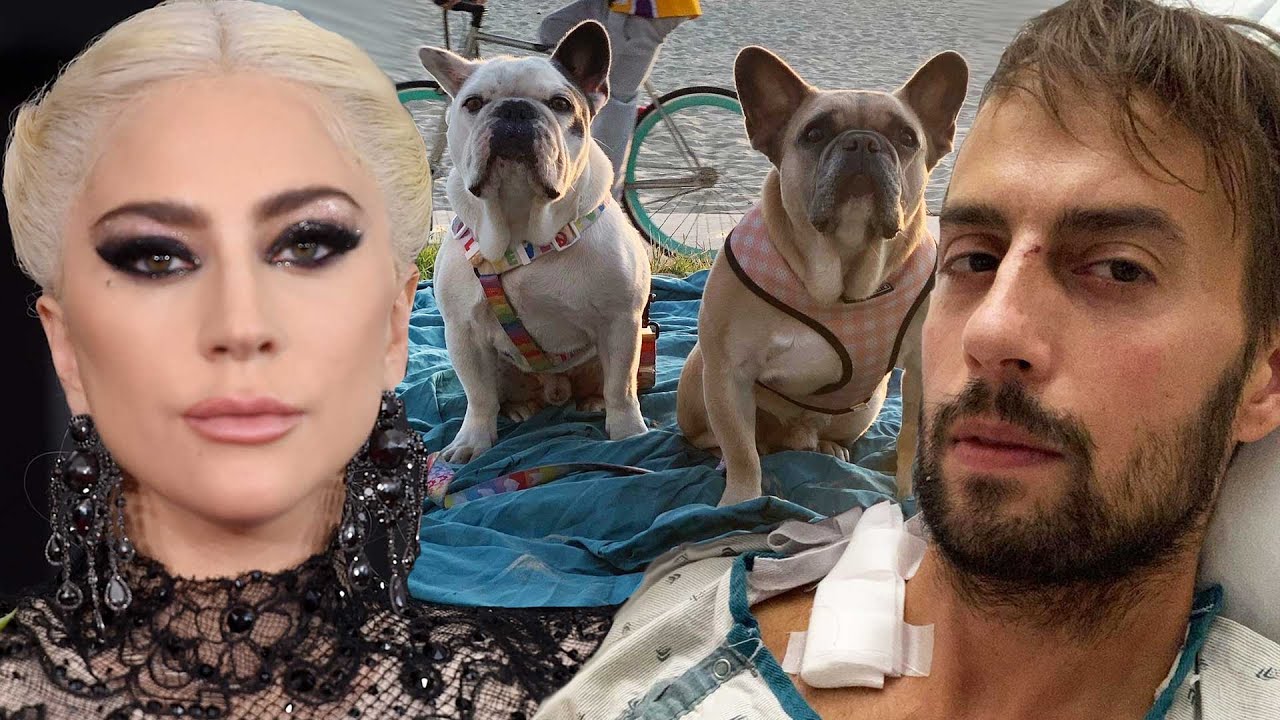 Lady Gaga's Dog Walker Ryan Fischer SPEAKS OUT Following Dognapping