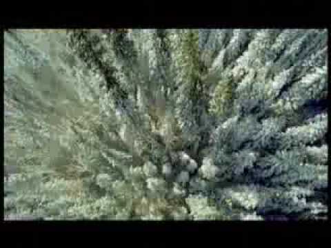 Trailer Planeta Tierra