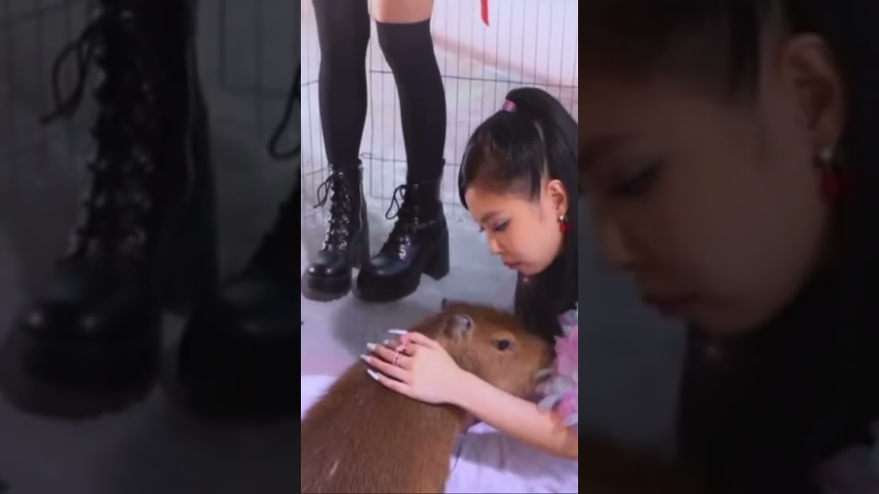Jennie Kissing Capybara 😘 Blackpink