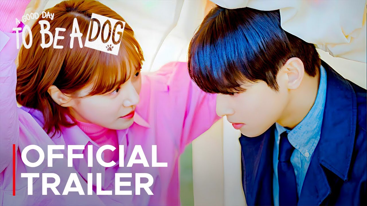 A Good Day To Be A Dog Official Trailer | Cha Eun Woo | Park Gyu Young {ENG SUB}