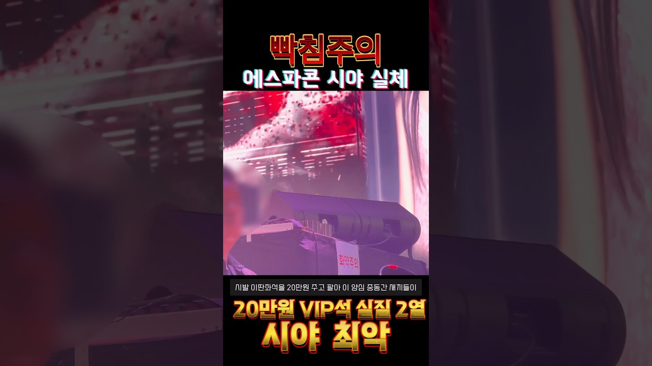 [빡침주의] 20만원 에스파 콘서트 VIP석 실제 시야;; 시제석 체험하고 옴 #에스파 #카리나 #지젤 #윈터 #닝닝 #aespa #karina #giselle #ningning