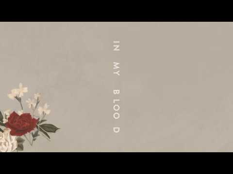 Shawn Mendes "In My Blood" (Audio)