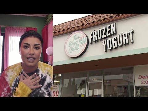 Demi Lovato Apologizes to Froyo Shop for Slamming Them Online