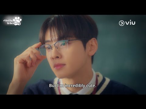 [Trailer 1] Viu Original, A Good Day To Be A Dog | Coming to Viu this 11 Oct, Same Day as Korea! 🐶