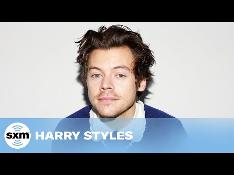 Would Harry Styles Reunite with One Direction on a Zoom Call? | Audio Only