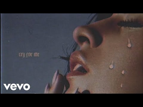 Camila Cabello - Cry for Me (Animated Audio)