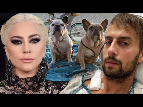 Lady Gaga's Dog Walker Ryan Fischer SPEAKS OUT Following Dognapping