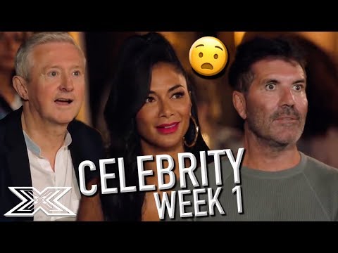 The X Factor: Celebrity Auditions (Week 1) | X Factor Global