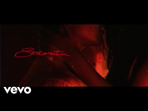 Shawn Mendes, Camila Cabello - Señorita (Lyric Video)