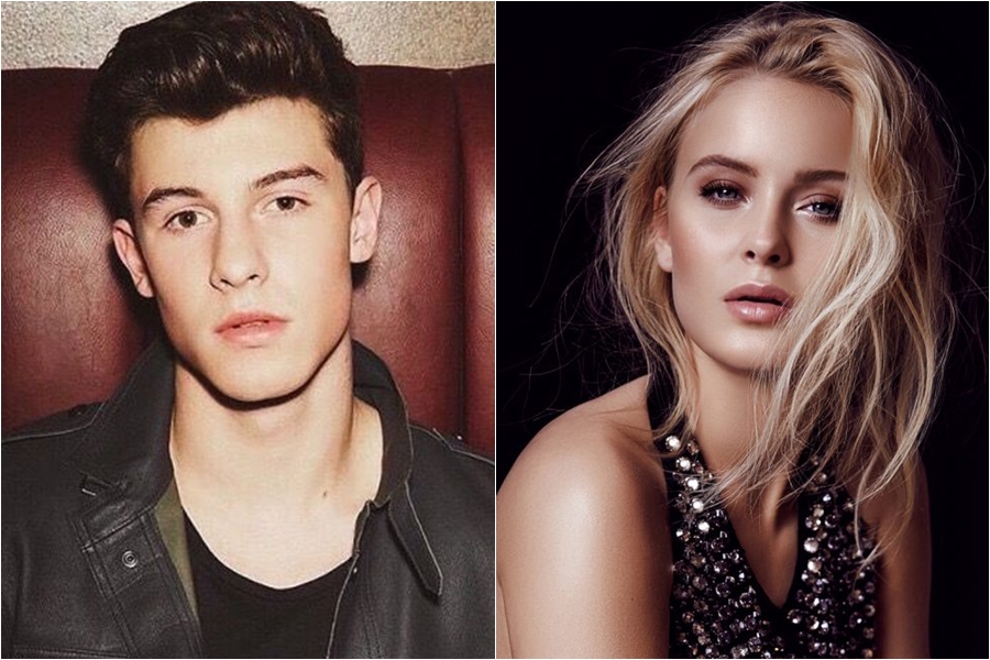 Shawn Mendes quiere colaborar con Zara Larsson