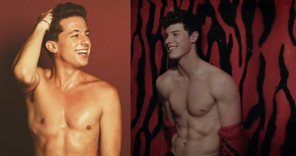 Shawn Mendes niega haber enviado fotos de su cuerpo a Charlie Puth