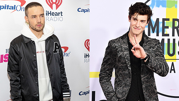 Liam Payne revela su preocupación por Shawn Mendes