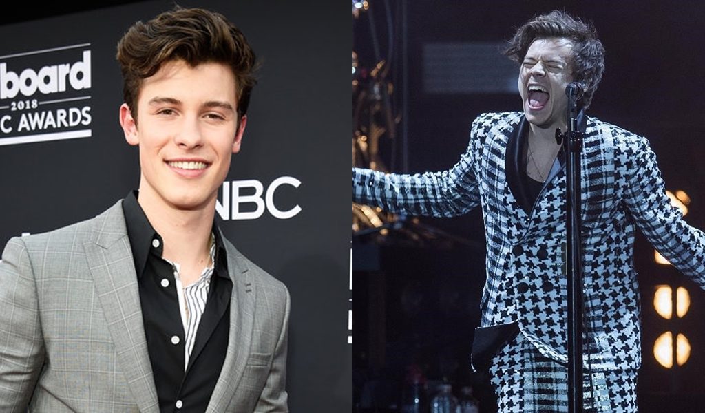 Shawn Mendes disfrutó del concierto de Harry Styles