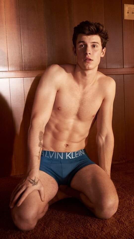 Shawn posa en ropa interior su nuevo photoshoot Calvin Klein