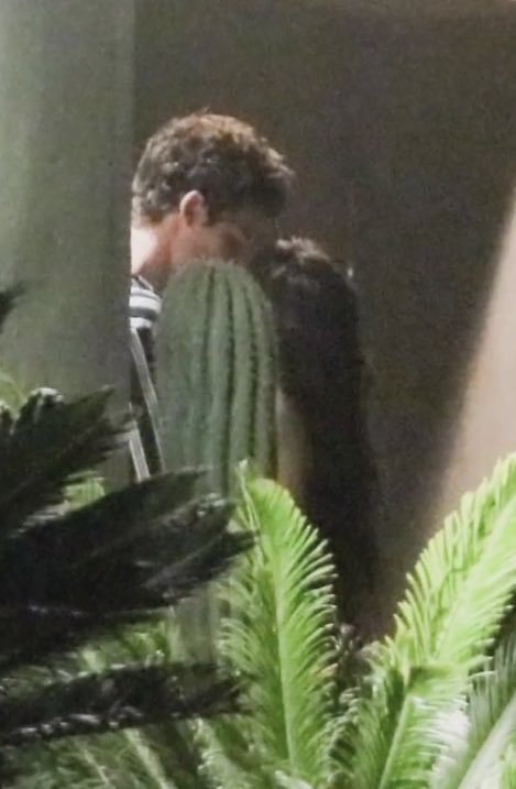 Captan a Shawn Mendes besándose con Camila Cabello