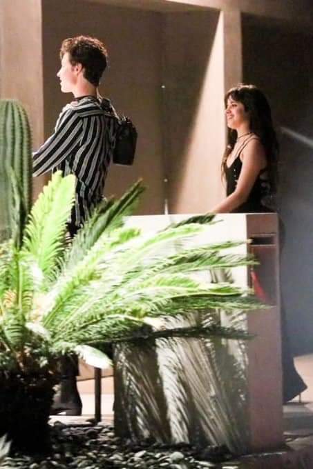 Captan a Shawn Mendes besándose con Camila Cabello Captan a Shawn Mendes besándose con Camila Cabello