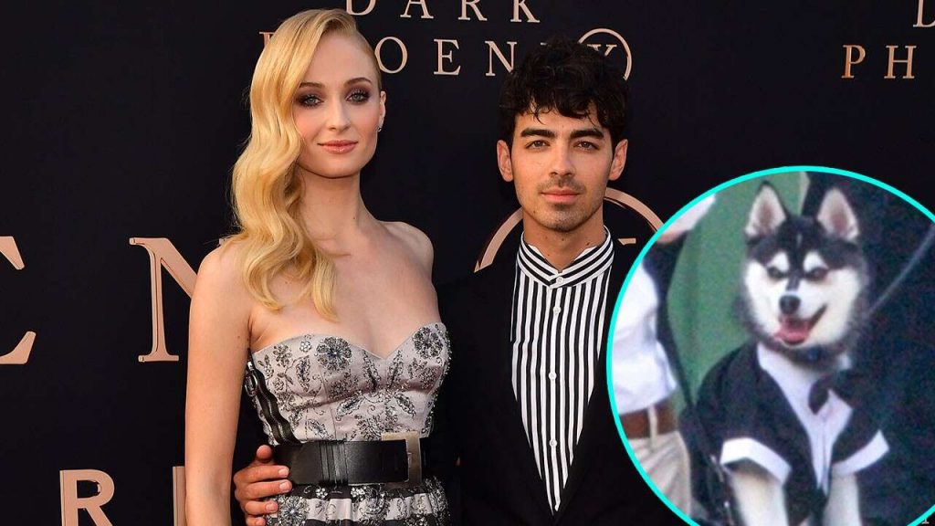 Joe Jonas y Sophie Turner lamentan la partida de 'Waldo', su mascota