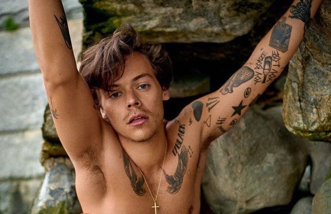 Harry Styles revela que su próximo álbum se trata 'todo sobre sexo&apo...