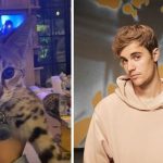 Justin Bieber le dice a PETA que "Lo chupe" tras comprarse dos gatos por 35000 Dólares