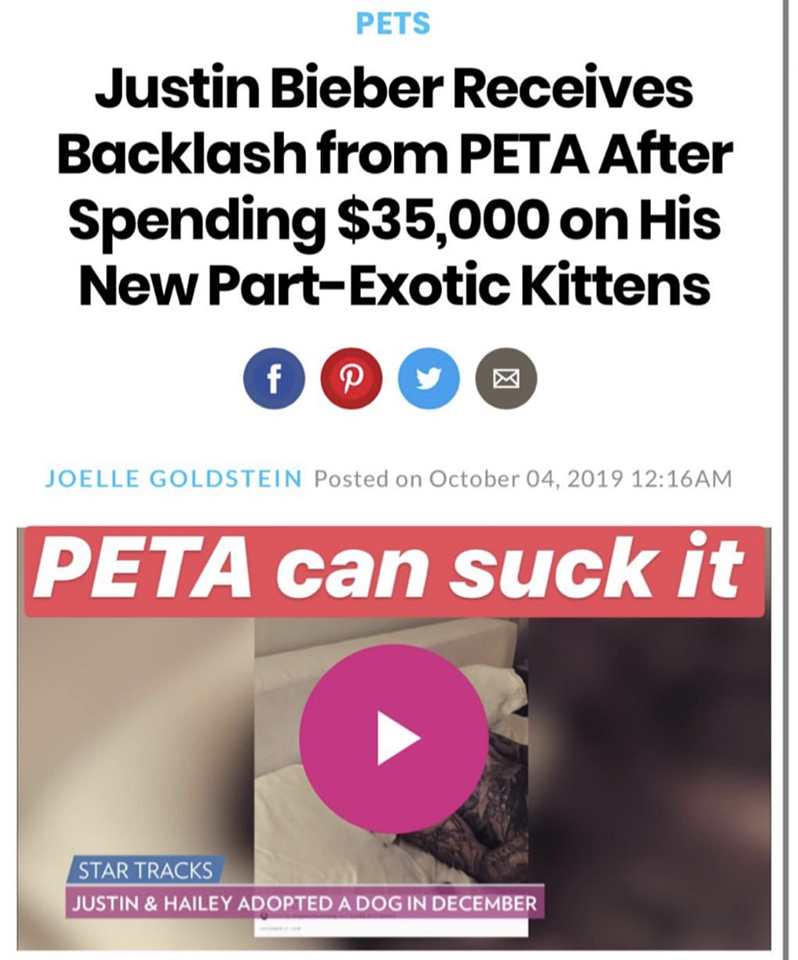 Justin Bieber le dice a PETA que "Lo chupe" tras comprarse dos gatos por 35000 Dólares