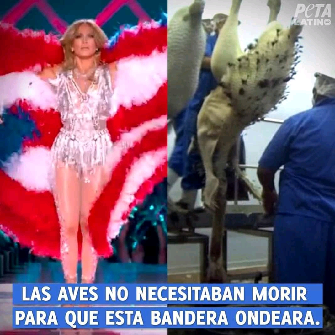 Jennifer Lopez es víctima de las críticas debido a su vestuario de plumas en el Super Bowl