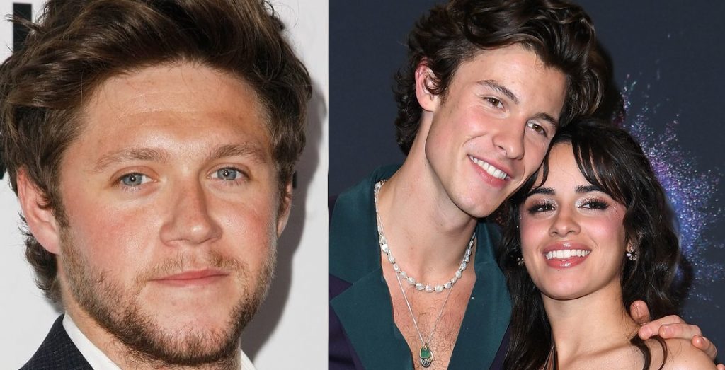 Niall Horan dice que Camila Cabello y Shawn Mendes son unos 'cabeza de popo'