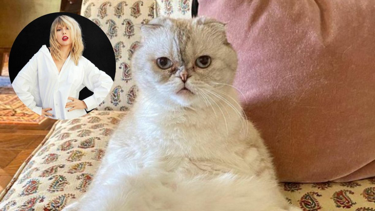 Las mascotas más ricas del mundo y de la historia