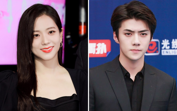 Jisoo de BLACKPINK y Sehun de EXO unen fuerzas en el proyecto digital para 'Pasha de Cartier'