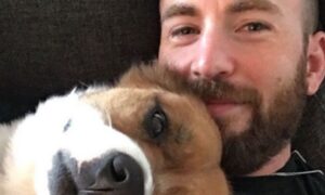 Chris Evans no se queda callado luego de publicar por error su foto intima