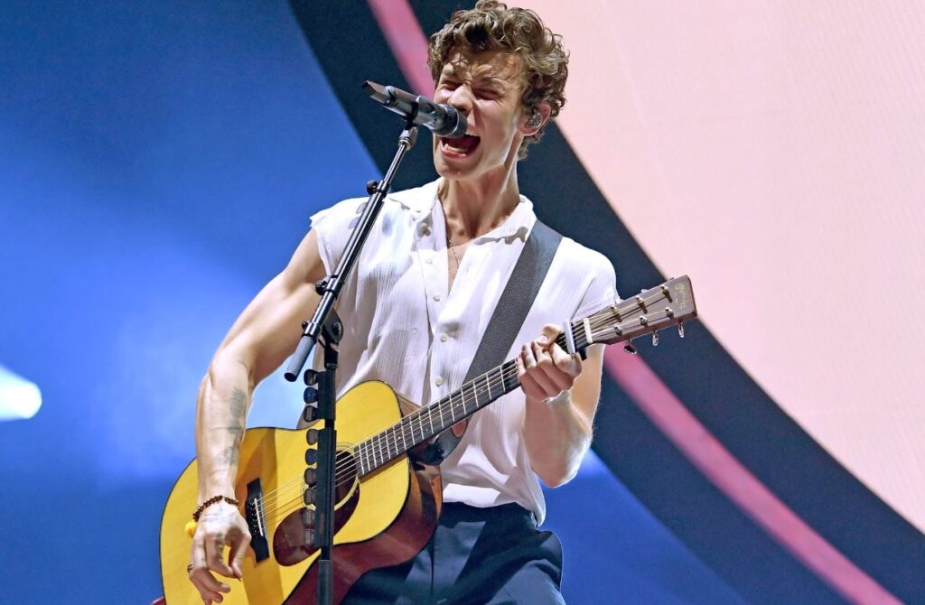 Shawn Mendes revela que hace demasiado en sus shows y llora por enfrentar problemas de voz en 'In Wonder'