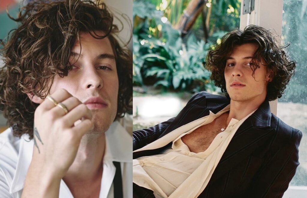 Shawn Mendes es destruido por la crítica experta con su nuevo álbum "Wonder"