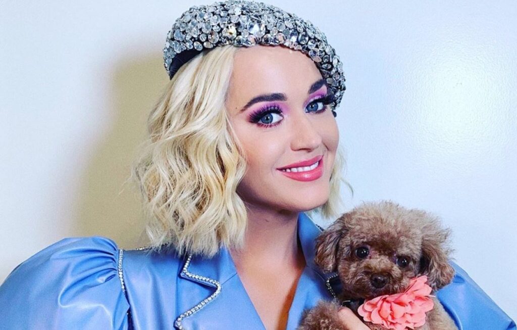 Katy Perry es acusada de maltrato animal por decir que tiene a su perro en una dieta vegana