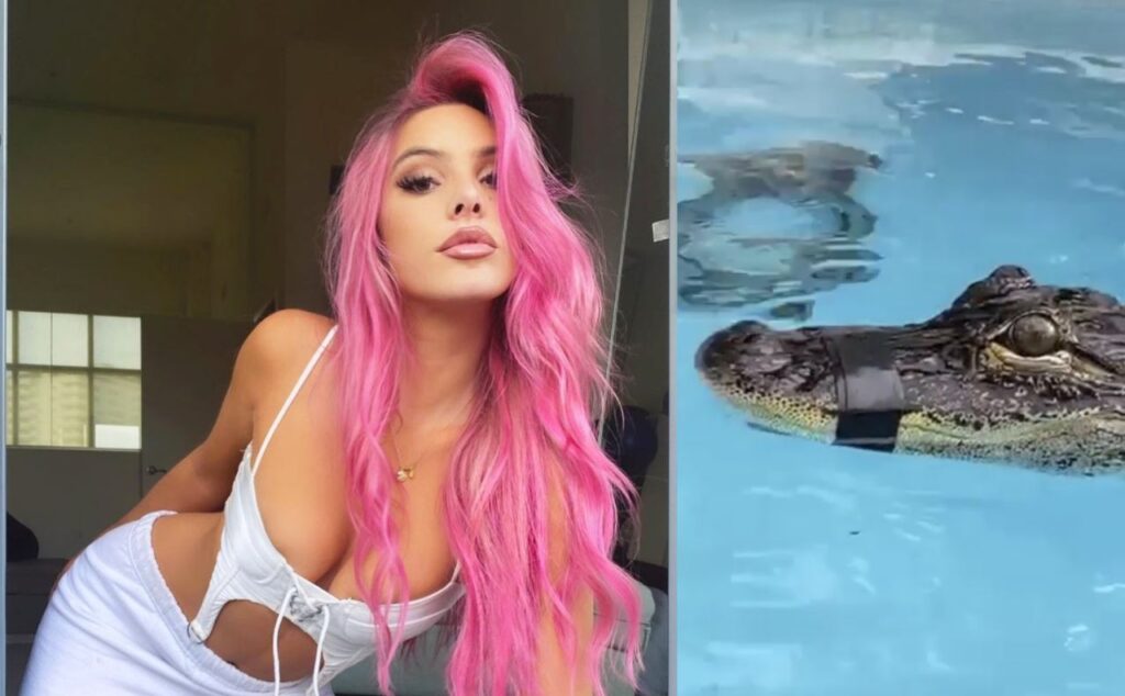 Lele Pons es acusada de maltrato animal por tener a un cocodrilo atado en piscina llena de químicos
