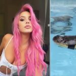 Lele Pons es acusada de maltrato animal por tener a un cocodrilo atado en piscina llena de químicos
