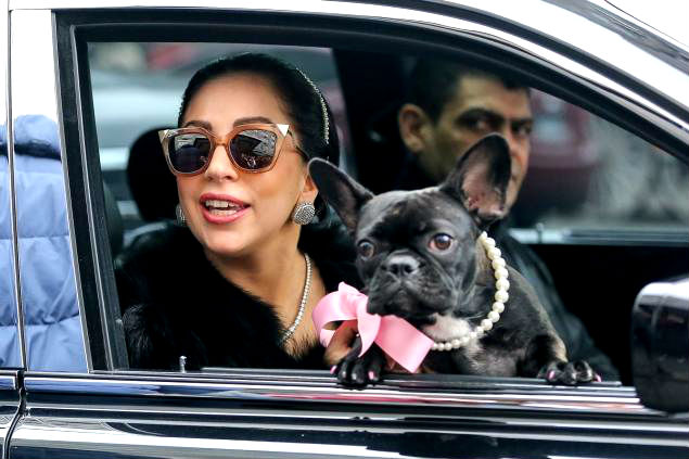 Vídeo donde hieren a el paseador de perros de Lady Gaga es revelado