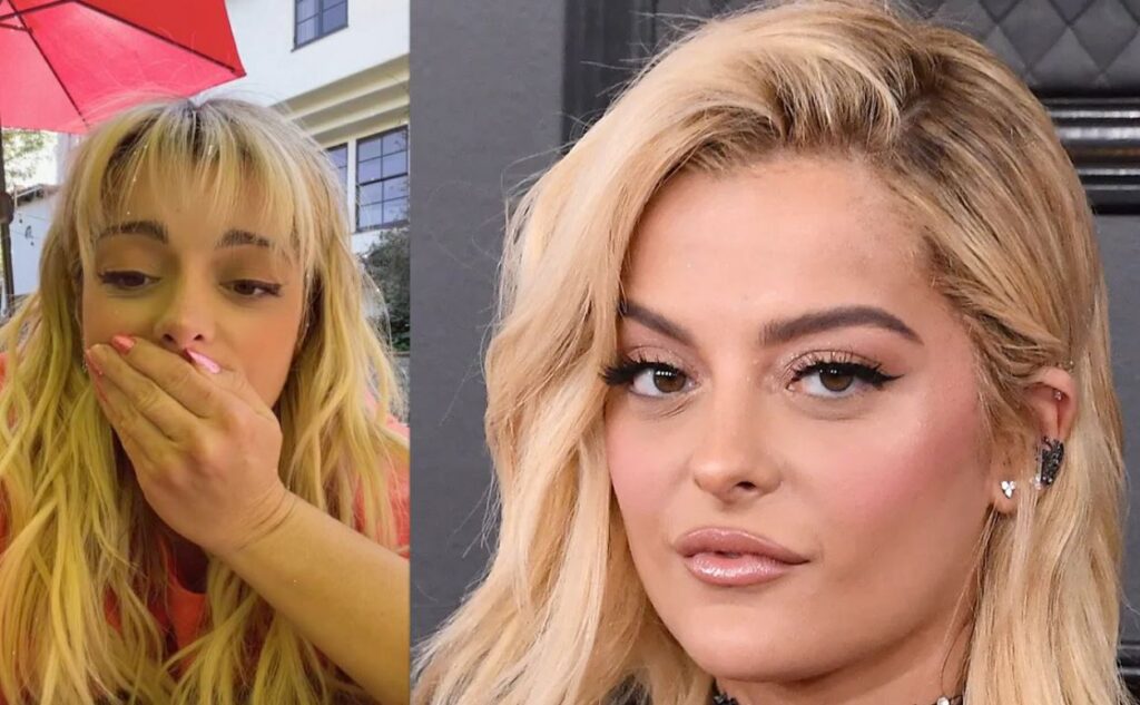 Bebe Rexha aceptó la solicitud a fan que se estaba masturbando en transmisión en vivo