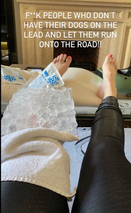 Rebel Wilson prefirió sufrir aparatoso accidente antes de lastimar a un perrito que se le atravesó mientras manejaba bicicleta