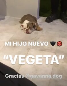 Tras su ruptura con Karol G, Anuel AA ha revelado quién es su nuevo amor