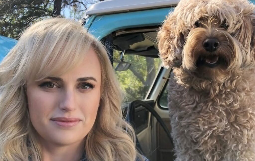 Rebel Wilson prefirió sufrir aparatoso accidente antes de lastimar a un perrito que se le atravesó mientras manejaba bicicleta