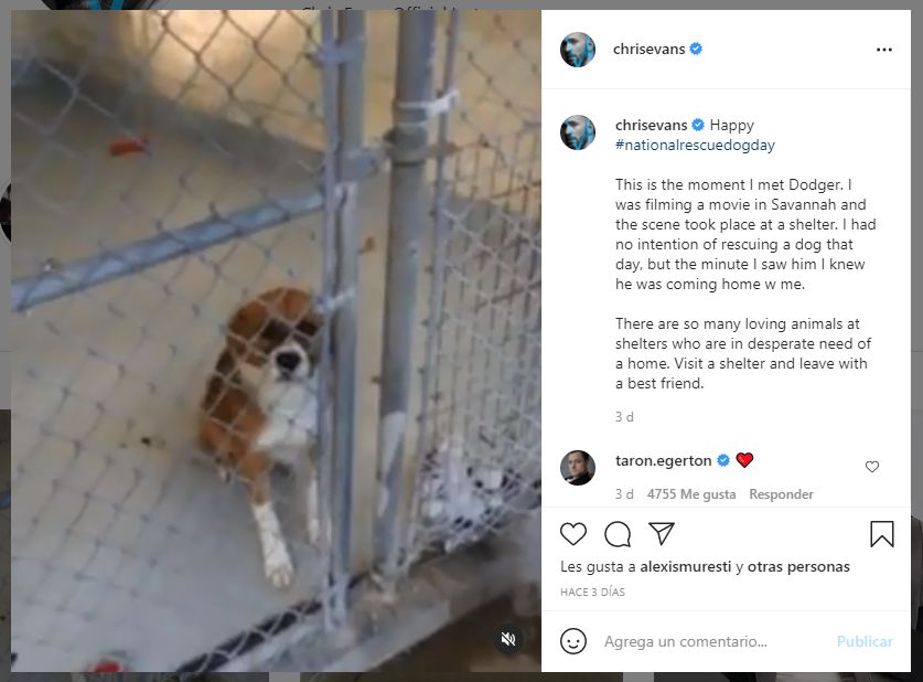 Chris Evans revela la conmovedora historia de como conoció a su mejor amigo