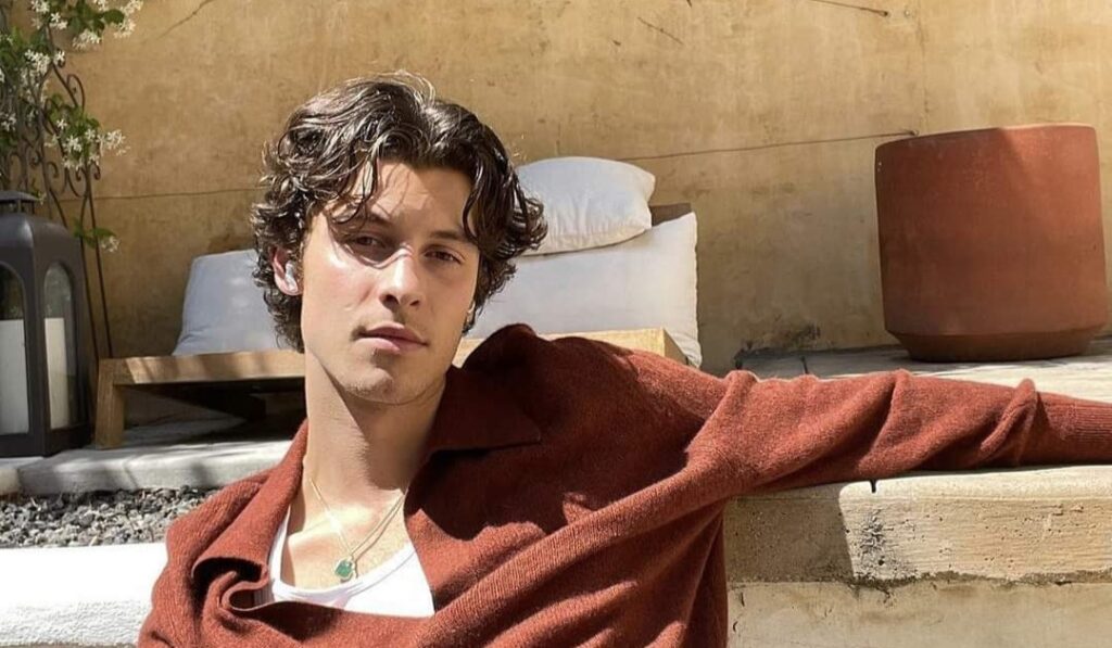 Shawn Mendes ha roto en llanto por los constantes rumores y acosos sobre su orientación sexual