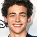 Joshua Bassett ha salido del closet con su nuevo vídeo y admite gustarle Harry Styles