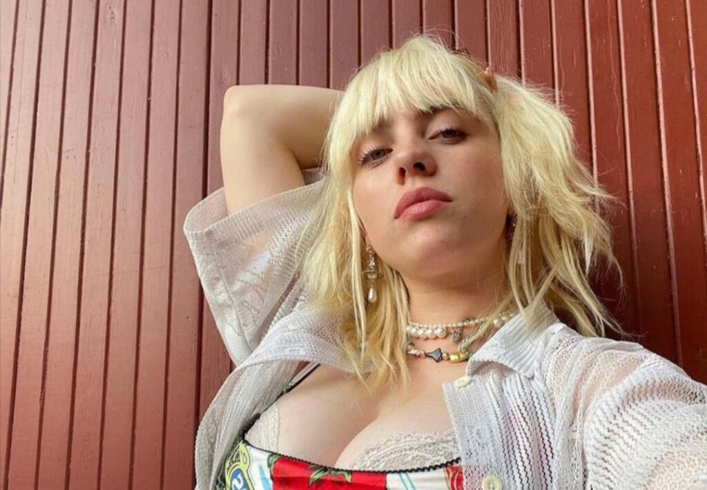 Billie Eilish responde a un comentario de odio; "mis senos son mas grandes que los tuyos"