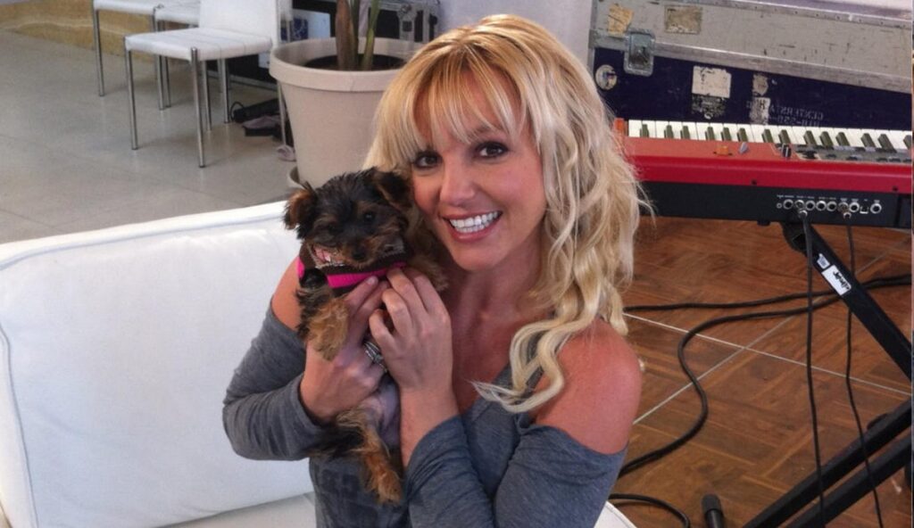 Ama de llaves de Britney Spears revela sus razones tras llevarse a los perros de la cantante