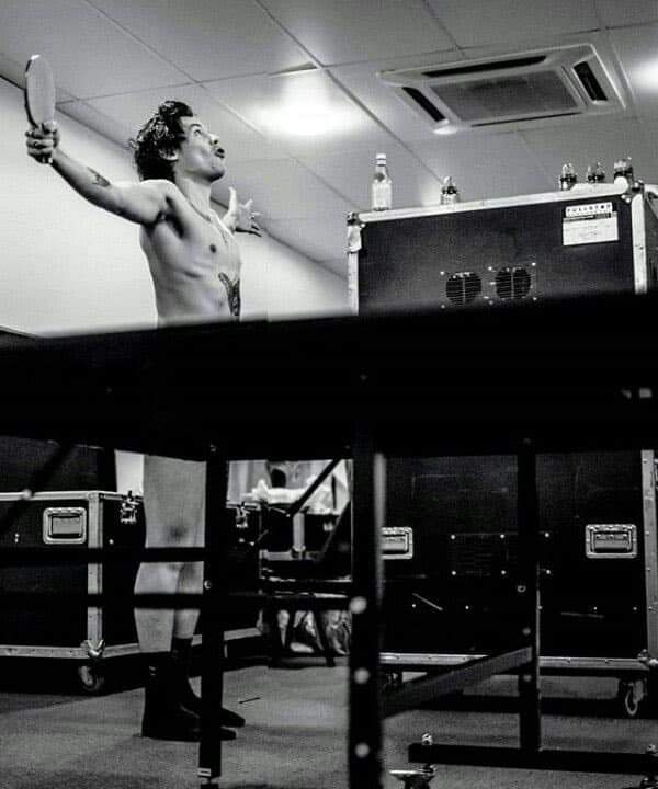 Harry Styles posa SIN NADA de ropa y enloquece las redes