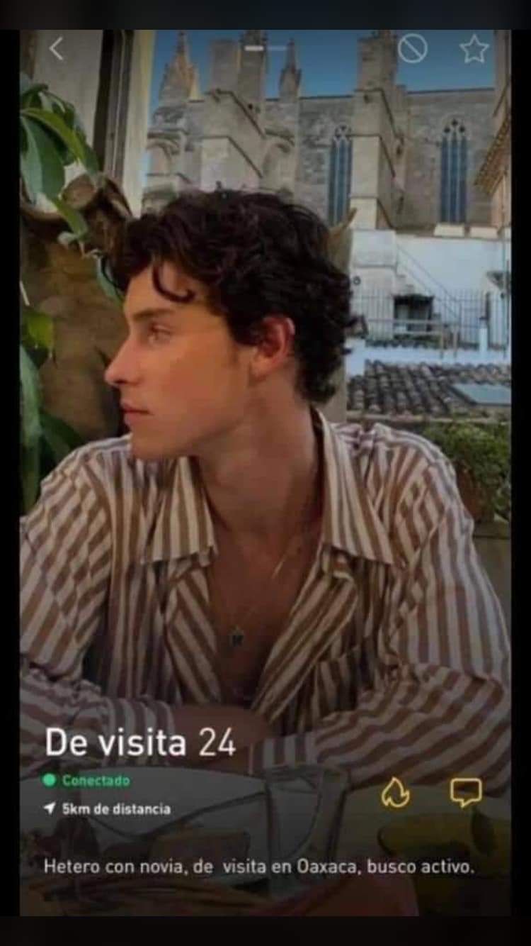 Fans de Shawn Mendes aseguran que el artista usa Grindr